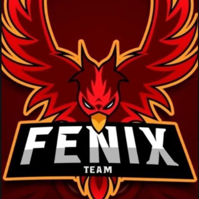 Imagem do grupo ⓋFENIX™♥