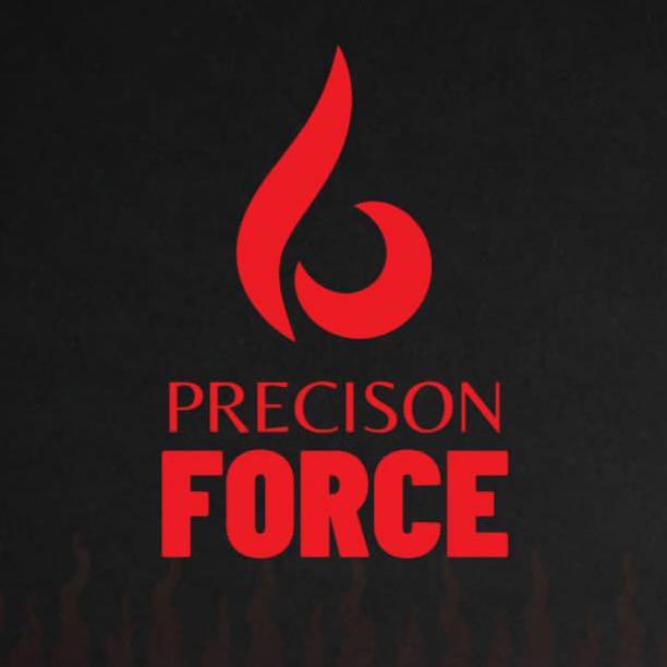 Imagem do grupo PrecisonForce #1