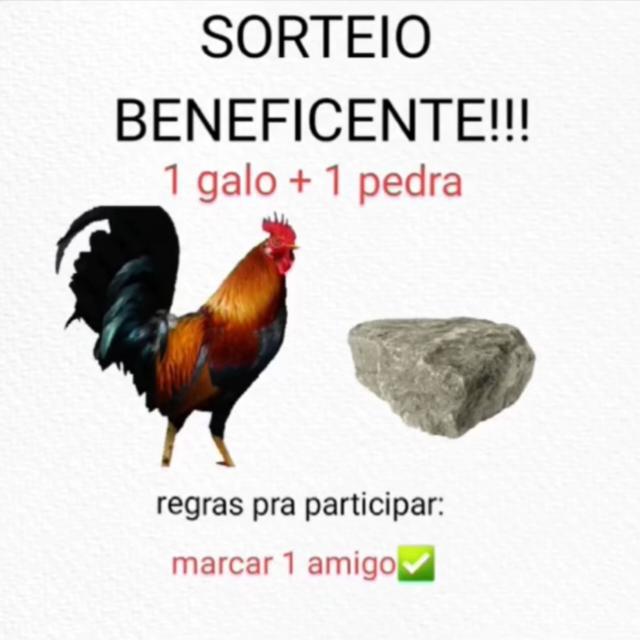 Imagem do grupo 🏛️FICHA LIMPA🏛️