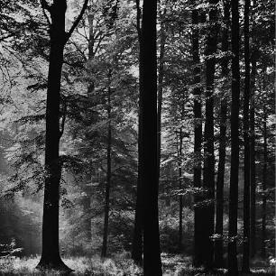 Imagem do grupo NØĮTĘ DĒ TR3VAS 🌒