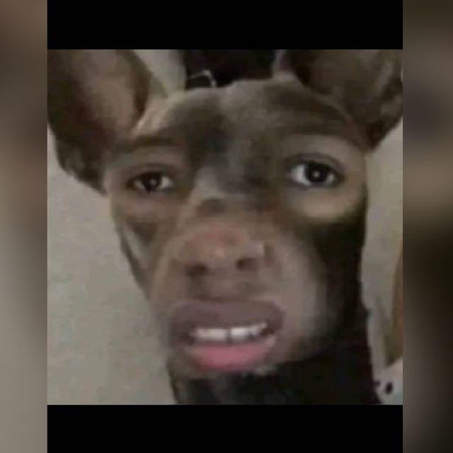 Imagem do grupo Miau