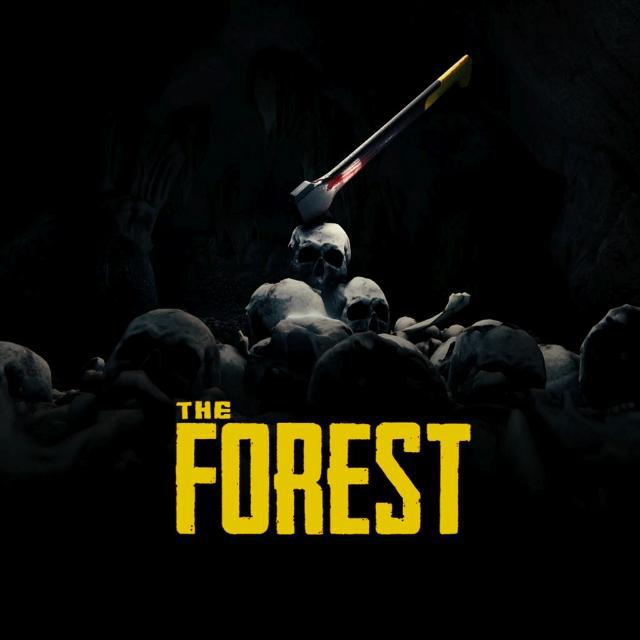 Imagem do grupo The Forest