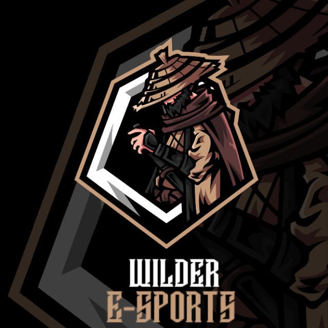 Imagem do grupo WILDER E-SPORTS