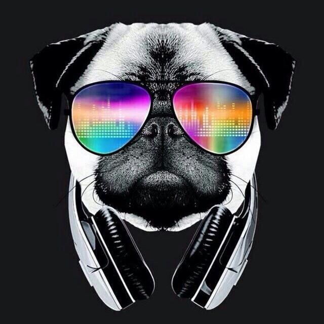 Imagem do grupo ꧁༺𝔾𝕣𝕡: 𝕂𝕀ℕ𝔾𝕊 👑࿐