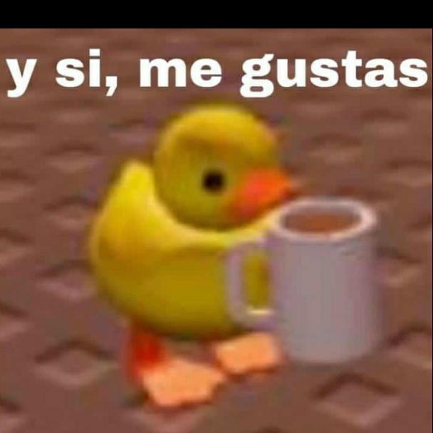 Imagem do grupo 🏳️🌈juntos para sempre🏳️🌈