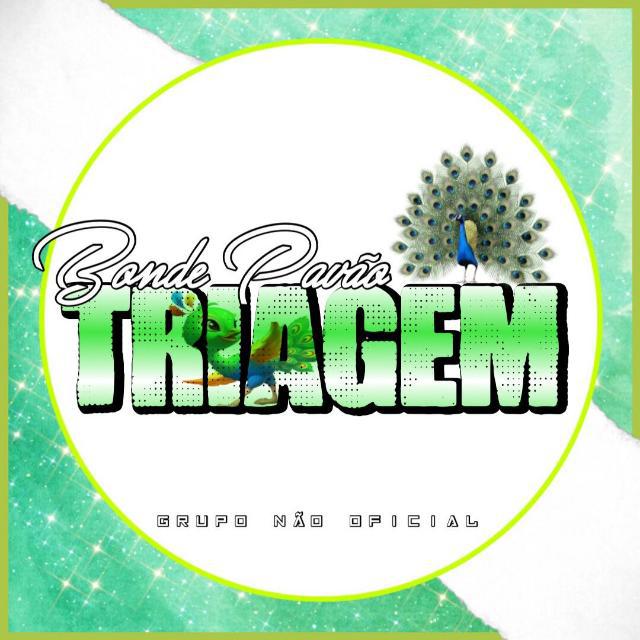 Imagem do grupo τriαgєм ραvασ