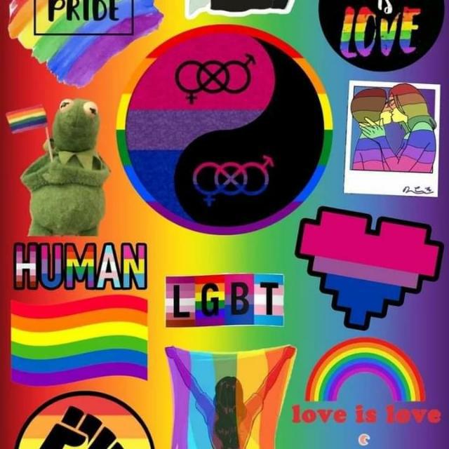Imagem do grupo LGBT 🏳️🌈🏳⚧