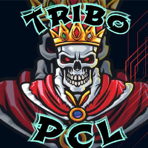 Imagem do grupo RECRUTAMENTO (PCL)