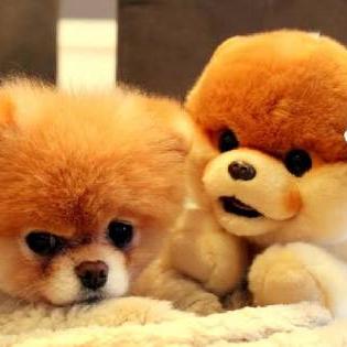 Imagem do grupo Links de Grupos WhatsApp