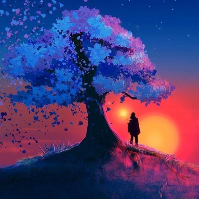 Imagem do grupo Lucid Dreams