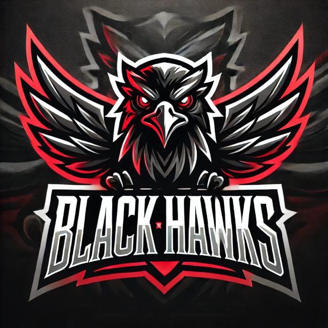 Imagem do grupo BLACK☬HAWKS recrutamento 