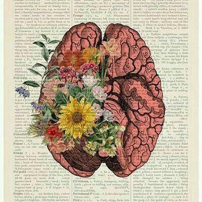 Imagem do grupo Ciências Naturais e Exatas 🦤🌱