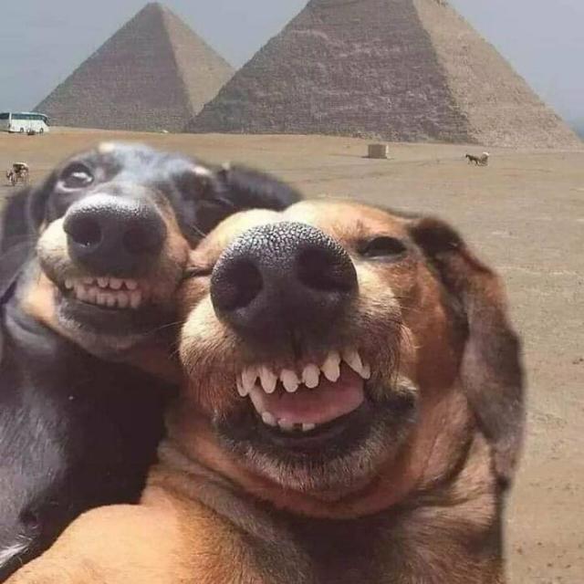 Imagem do grupo 𝕮𝖍𝖆𝖙 𝖉𝖆 𝕹𝖆𝖙𝖞, 𝕴𝖓𝖉𝖗𝖆𝖝 𝖊 𝕿𝖍𝖊𝖚𝖘 🕷