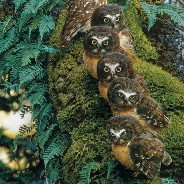 Imagem do grupo AMIZADES E ZUEIRAS