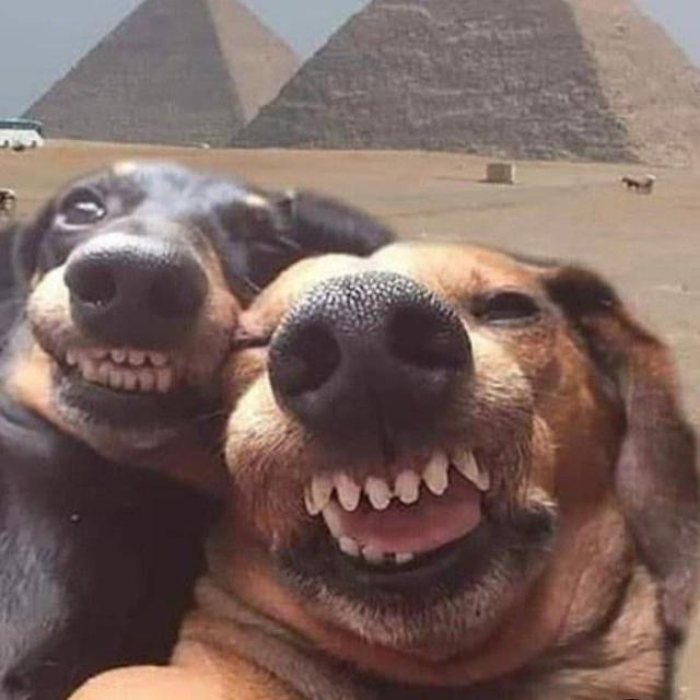 Imagem do grupo Besties