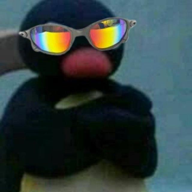 Imagem do grupo GRUPO DOS SEM NOÇÃO 🤪