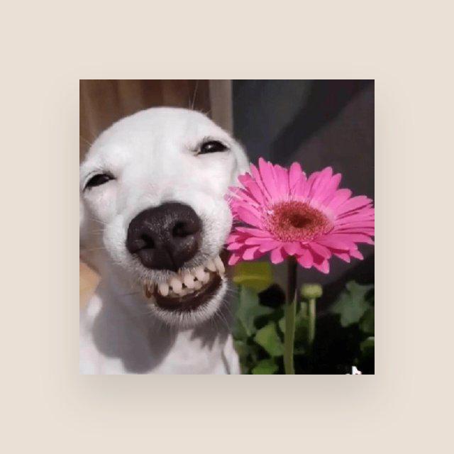 Imagem do grupo ᖴᗩᗰIᒪY ᗷᗩᗞ🫠