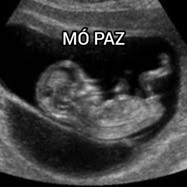 Imagem do grupo ༆the world is our bitches༄