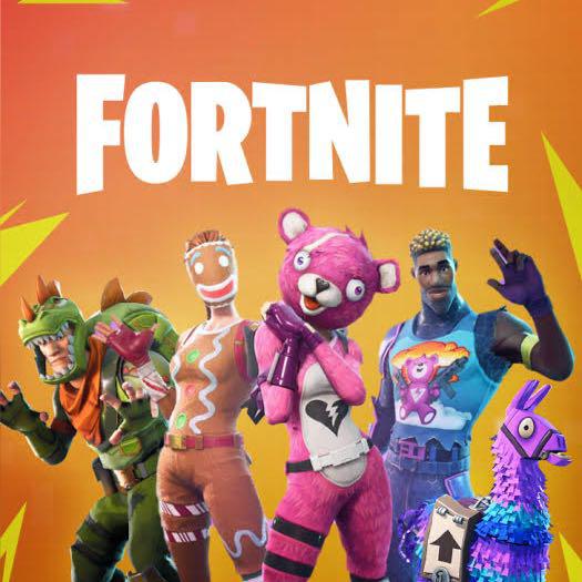 Imagem do grupo @FortniteFrenesiBR