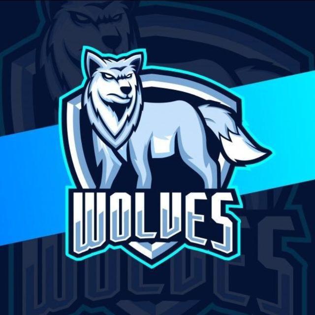 Imagem do grupo RECRUTAMENTO WOLVES