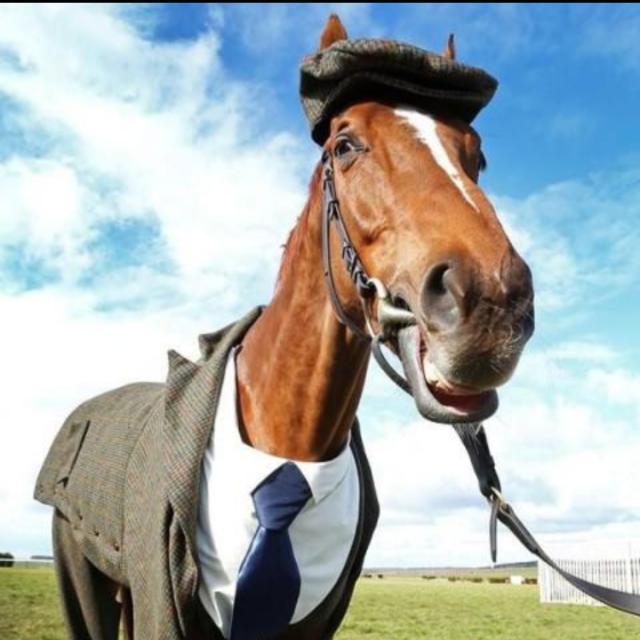 Imagem do grupo Natanzinho Post 🐒🚫