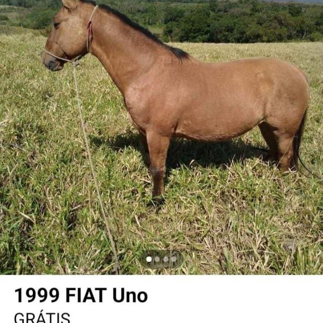 Imagem do grupo anteikolas