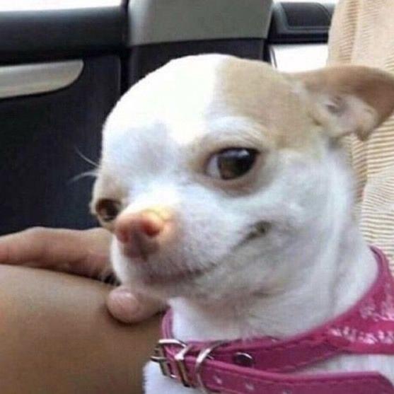 Imagem do grupo GRUPO DE FIGURINHAS 🍔