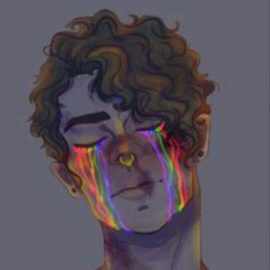 Imagem do grupo Santa Catarina Lgbtqia+🏳🌈🏳️⚧️