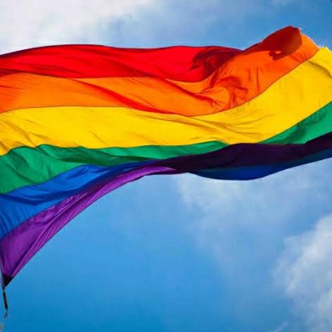 Imagem do grupo Amizade lgbt