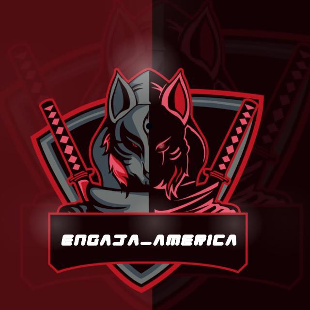 Imagem do grupo ⚜️ENGAJA_AMÉRICA ⚜️