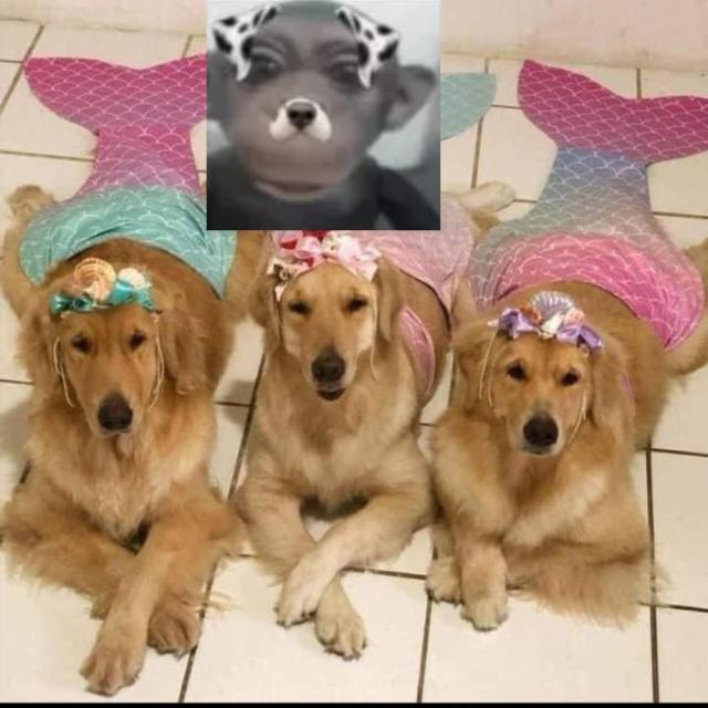 Imagem do grupo Que depressão 