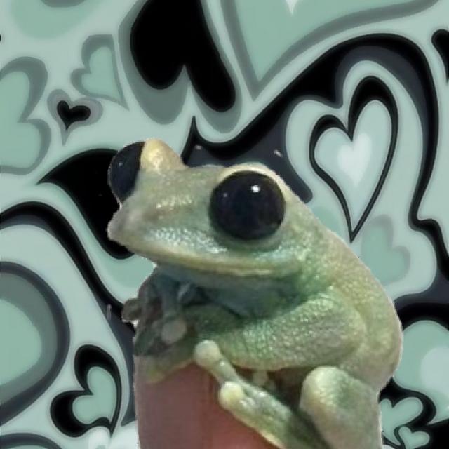 Imagem do grupo Novas amizades❦︎