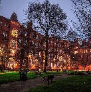 Imagem do grupo G⃢olden West//Fichas