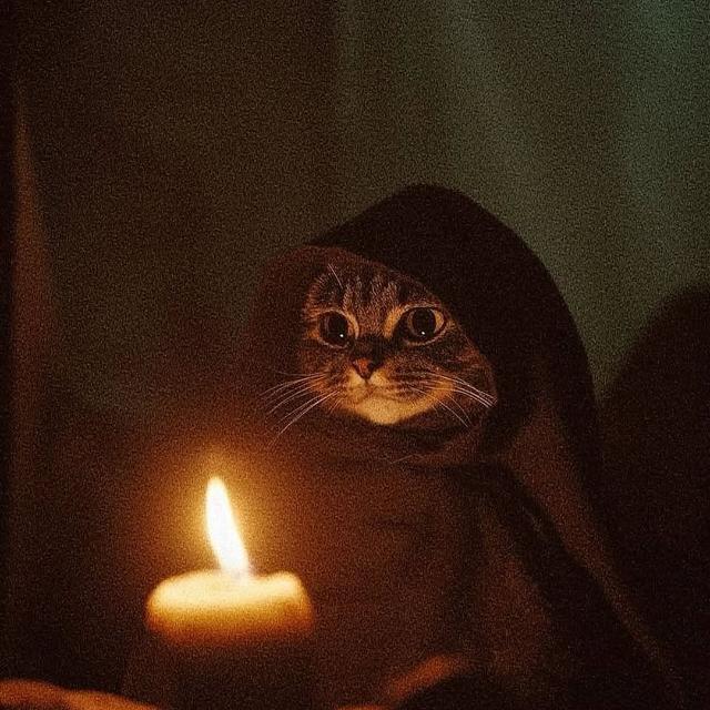 Imagem do grupo 🏳️ Apoio Emocional 🏳️