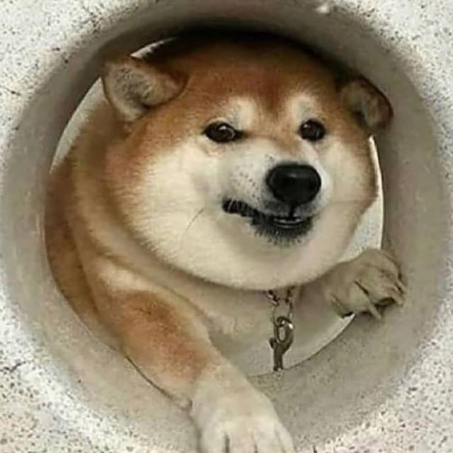 Imagem do grupo 🤌🏽👮🏽‍♂️~Mundo das Figurinhas~🤌🏽