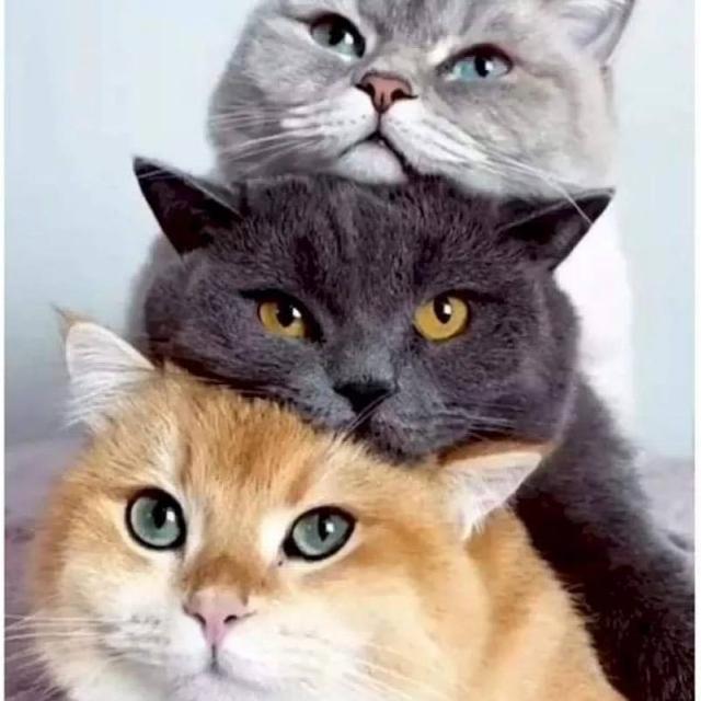 Imagem do grupo Grupo de amizade