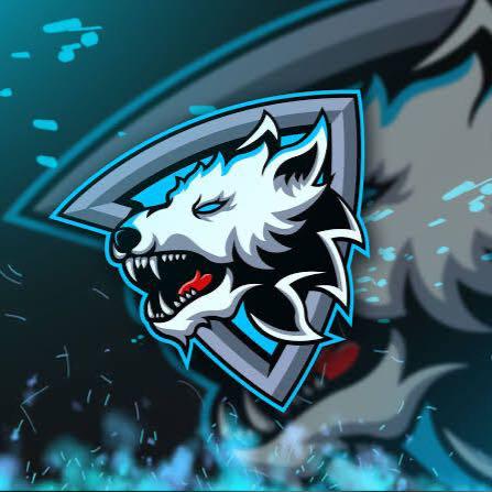 Imagem do grupo S ESPORTS TST 🤍