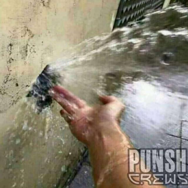 Imagem do grupo NOTIFICAÇÕES INFINITAS