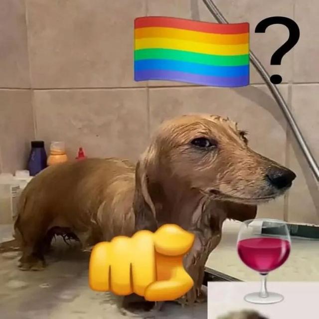 Imagem do grupo Y A G S 🏳️🌈