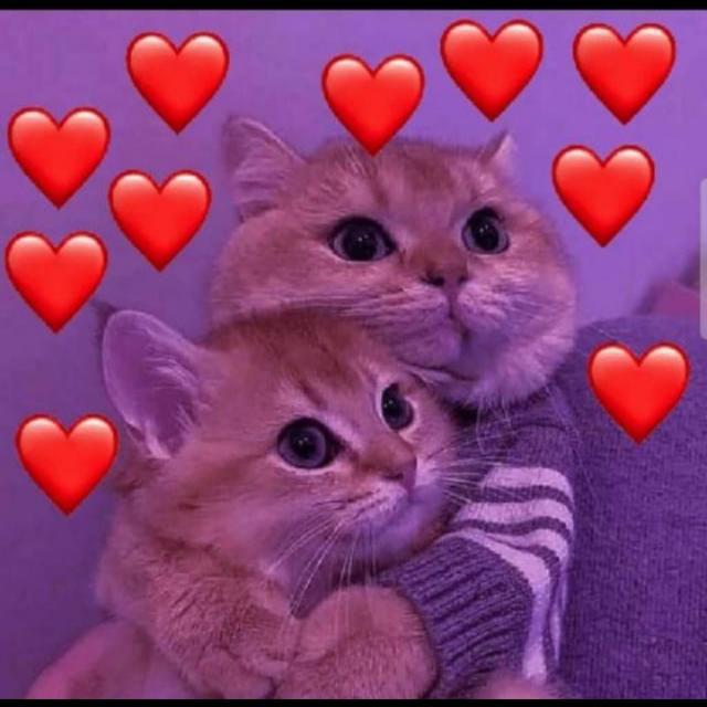 Imagem do grupo 🌒 ÄMÏZÄDËS💯% 🌒