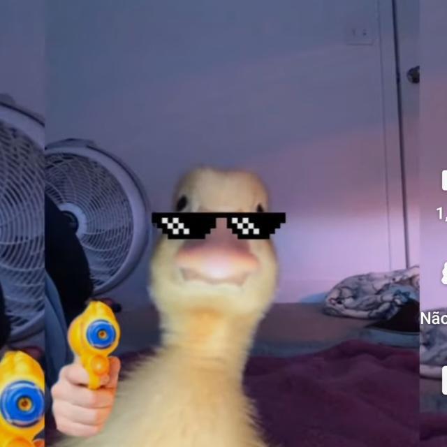 Imagem do grupo Resenha da galera