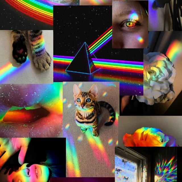 Imagem do grupo LGBTQIA+