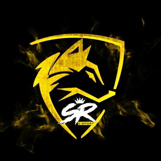 Imagem do grupo RECRUTAMENTO DA SR E-SPORT💛