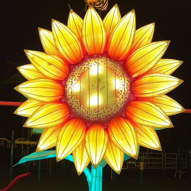 Imagem do grupo 𝕄𝕦𝕤𝕚𝕔𝕒𝕤,𝕧𝕚𝕕𝕖𝕠s,𝕗𝕚𝕘𝕦𝕣𝕚𝕟𝕙𝕒𝕤