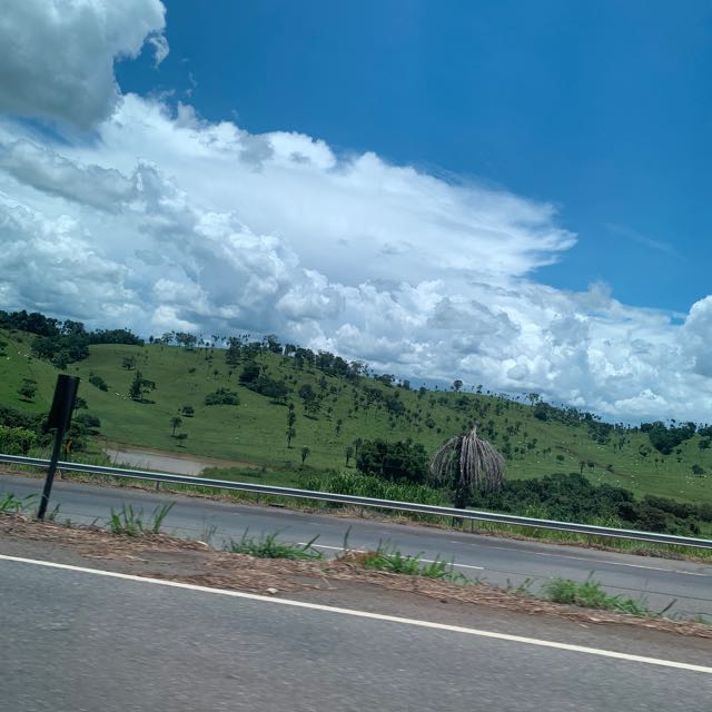 Imagem do grupo Parceiros de Goiânia