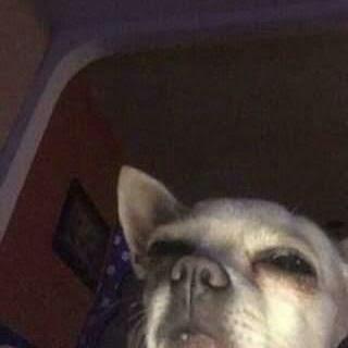 Imagem do grupo ⚡Web amizades/Views nos stts⚡