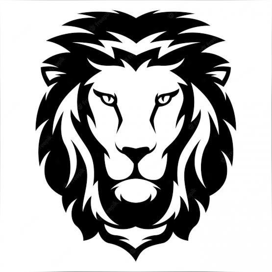 Imagem do grupo LIONS NETWORK