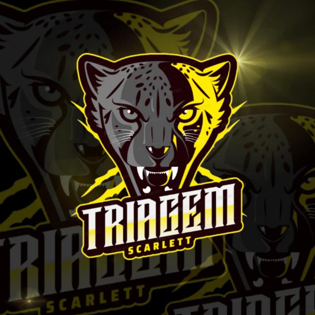 Imagem do grupo ¹TRIAGEM 👑