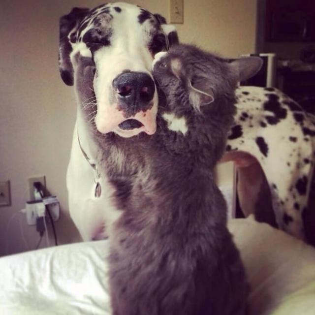 Imagem do grupo HOSPÍCIO2⃣4⃣Hrs