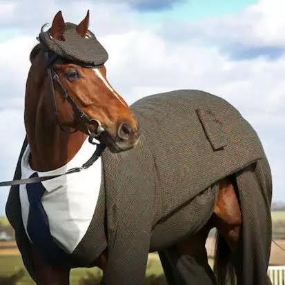 Imagem do grupo 🄰🄼🄸🅉🄰🄳🄴 🄰 🄼🄸🄻 🄶🅁🄰🅄